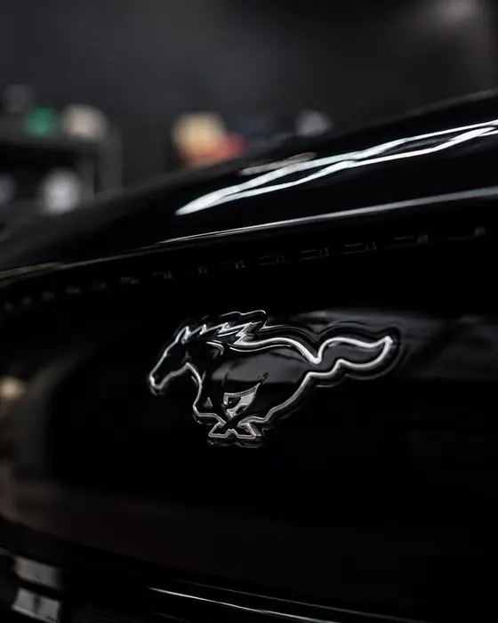 Paint correction, clay bar and Graphene Ceramic Coating on a Mustang.