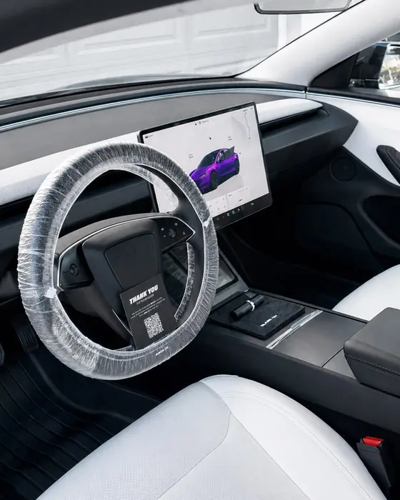 Black Tesla: swirl marks gone, fully protected with Blank Ceramic Pro.